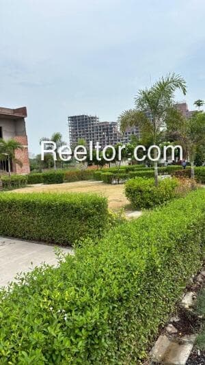 Image of Dream Land in Captainganj, Kushinagar