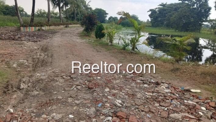 Image of Garbor Plot for Sale | ₹23,32,578
