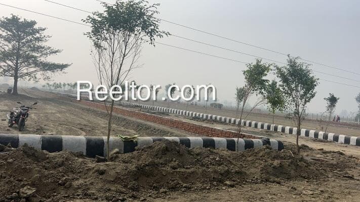 Image of Green Acres, Anand