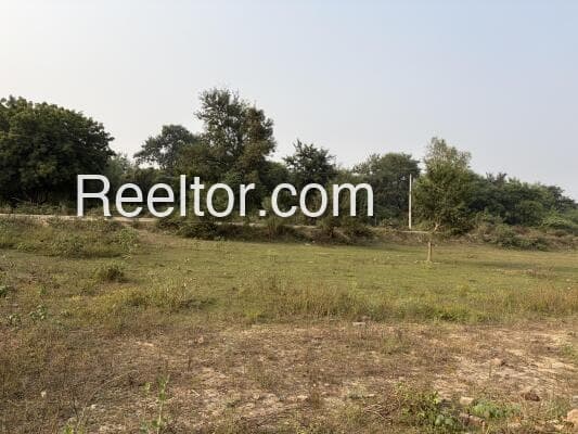 Plots For Rent In Nenuliang Hayuliang