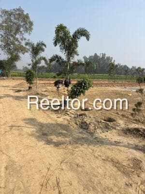 Image of Hiriyur Plot for Rent - ₹273,264/month