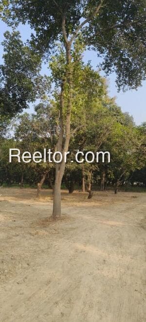 Image of Indi Plot - 7449 sqft Land for Rent