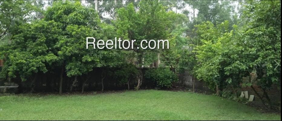 Shop For Rent In Bagnal Dumka