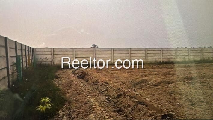 Image of Longchem Plot, Mokokchung Nagaland