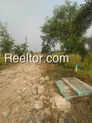 Plot For Sale In Shajapur