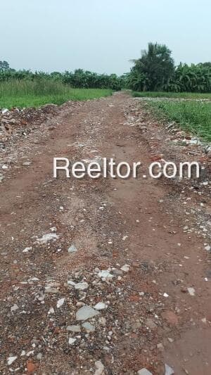 Plots For Sale In Tugapur Mayabunder