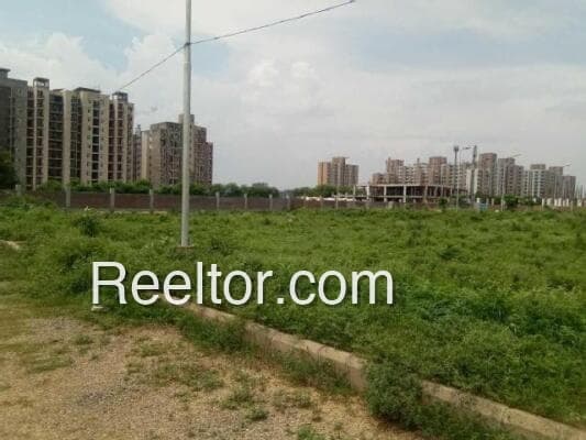 Plots For Rent In Balijan Taraso