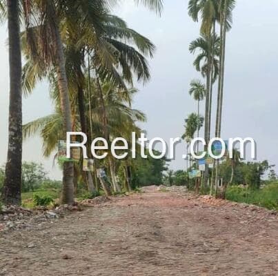 1 Bhk House For Rent In R K Colony Nimbahera