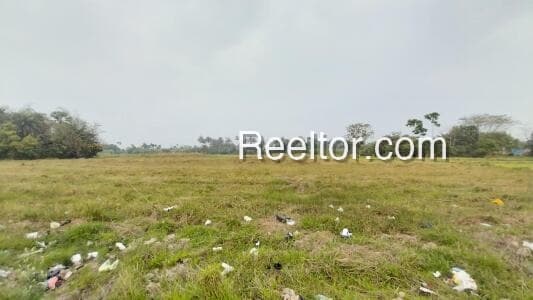 Image of Pachpadra Plot for Sale, Pachpadra