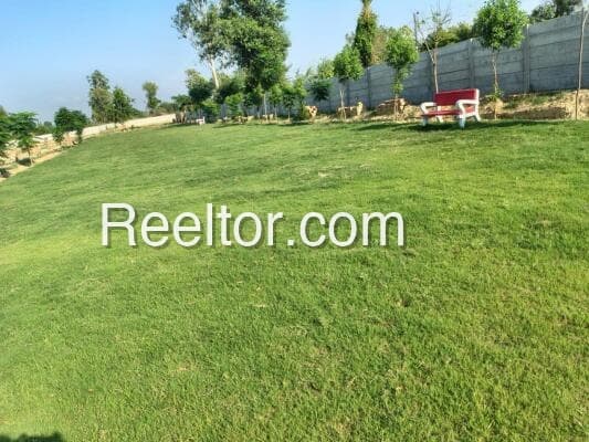 Image of Paglam Plot - Affordable Land for Rent