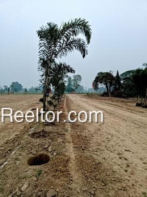 Image of Pakur Plot - Spacious Land in Jharkhand