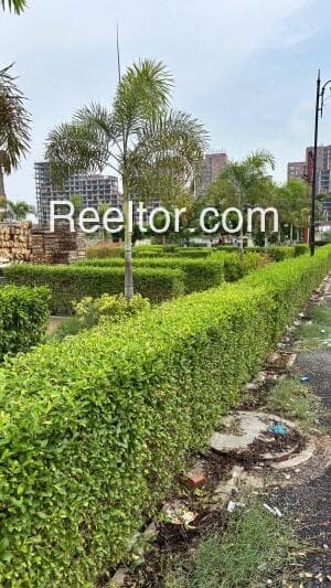 Image of Palwancha Palms, Plot in Bhadradri Kothagudem