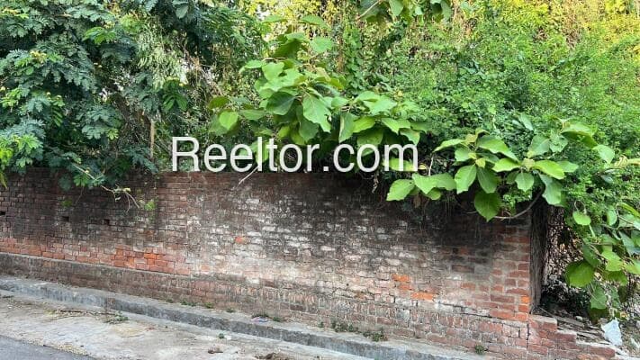 Shop For Rent In Amaldu Kotdwara