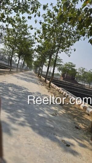 Available 3 Bhk In Khakhadabela No6 Paddhari