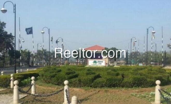 Image of Plot for Sale in Saoli, Chandrapur - Spacious Land