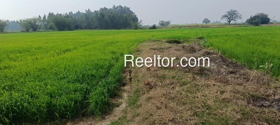 Image of Plot in Baran, Rajasthan - Prime Location