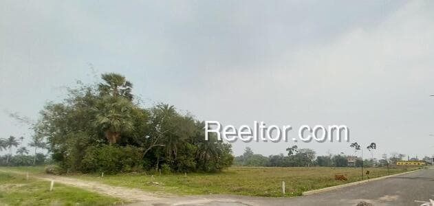 Image of Plot in Orchha, Madhya Pradesh | Spacious Land for Rent