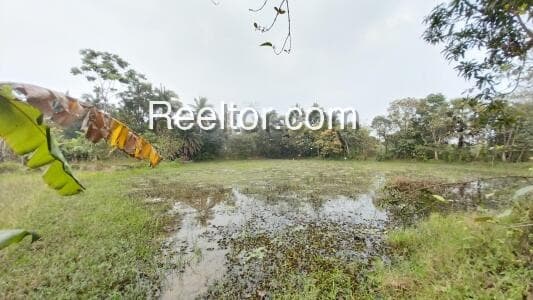 Plots For Sale In Kelakam Colony Mananthavady