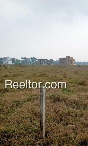 Image of Spacious Plot in Nilanga, Latur