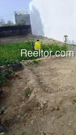 Image of Sundarnagar Plot | 1981 sqft Land for Sale in Sundarnagar