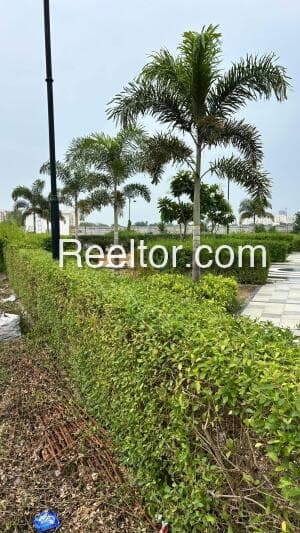 Image of Taranagar Plot - Churu Rajasthan