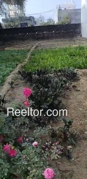 Image of Vaijapur Plot, Aurangabad