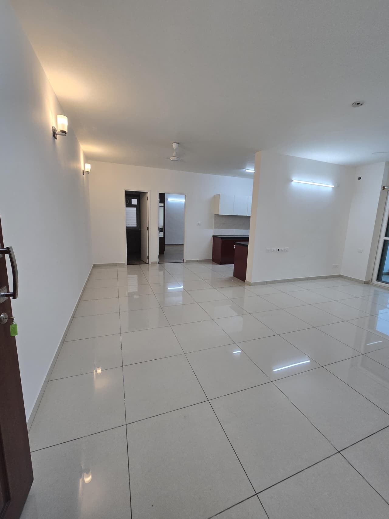 Image of Deodar at Brigade Orchards Devanahalli, Bangalore