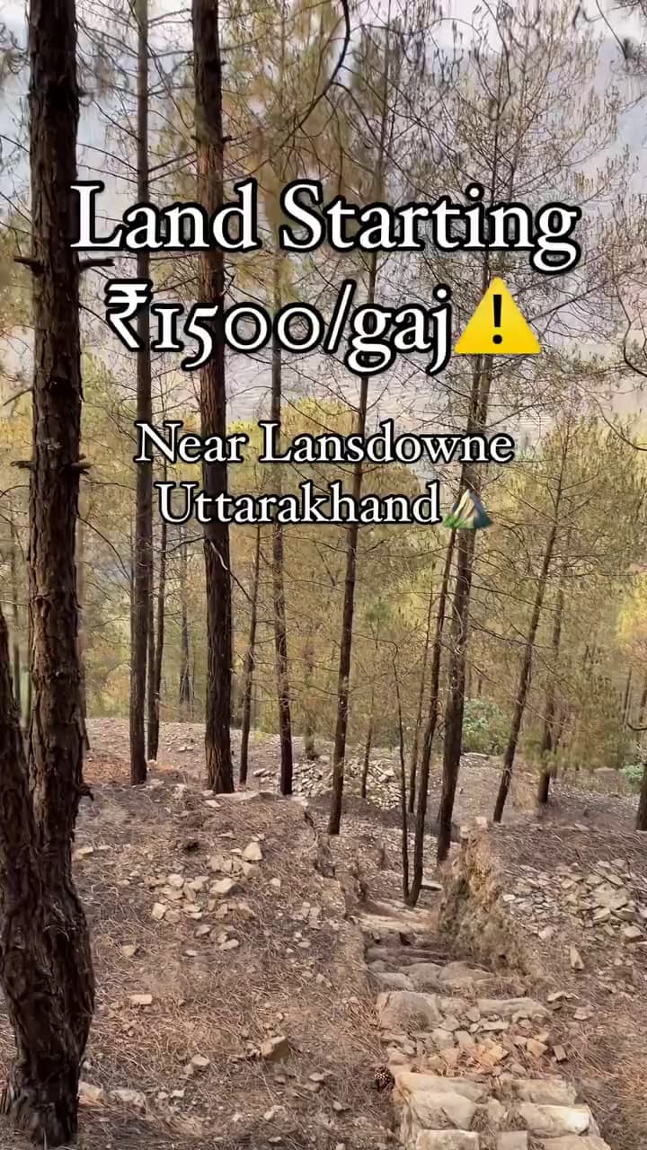 Plot For Buy In Assam