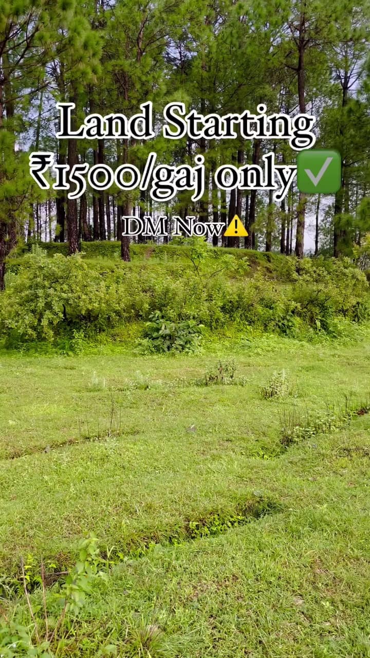 Plot For Buy In Assam