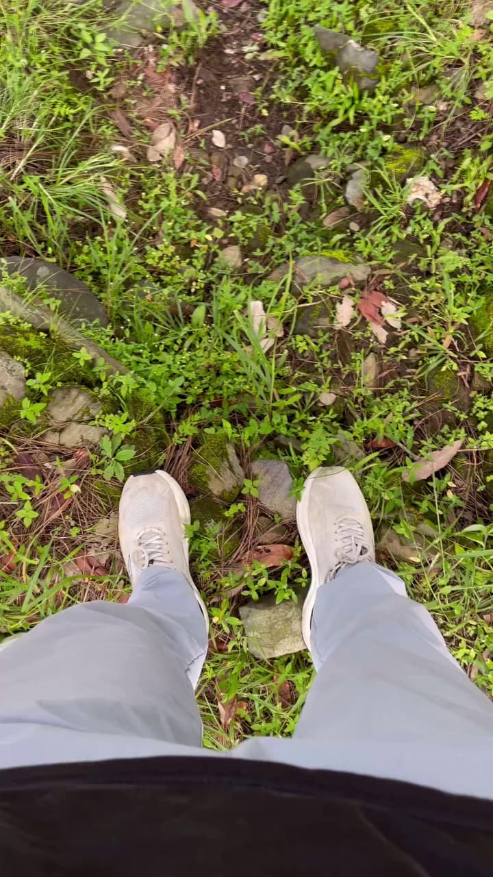 Buy Sale Plot In North Goa