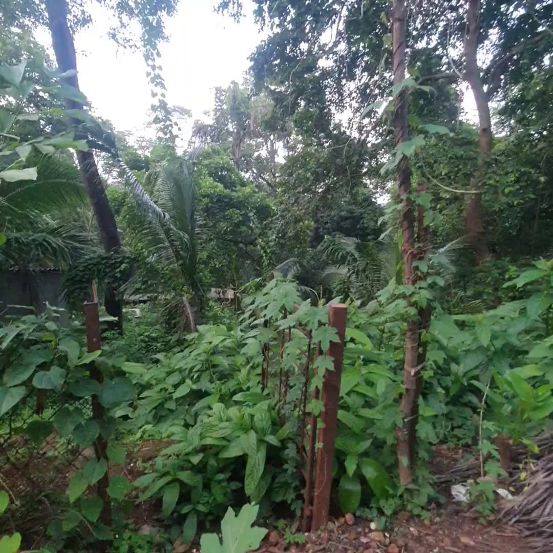 2 Bhk For Sale In Jonnahalli Devanahalliu