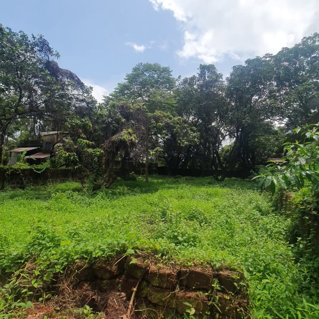 Plots For Sale In Transport Nagar Jaipur