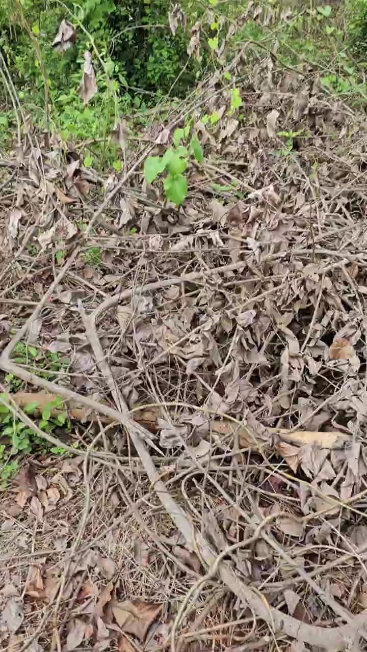 Buy 2 Bhk In Navibandar Porbandar