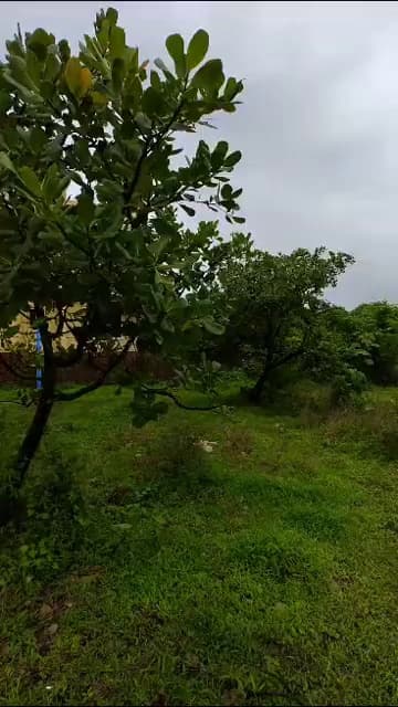 Plot For Sale In Bhopal