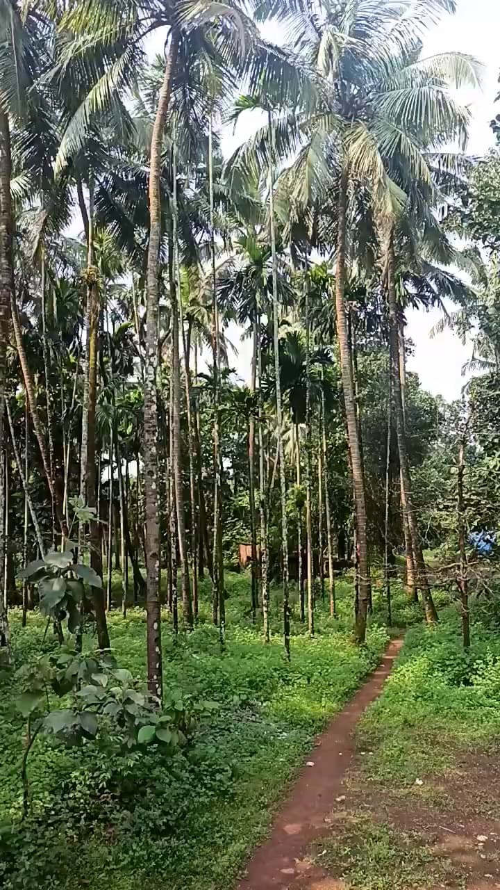 Buy Sale Plot In Dehradun