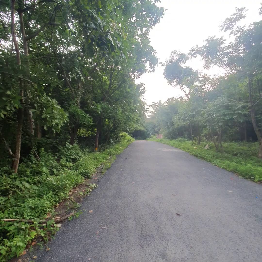 Buy Sale Plot In Delhi