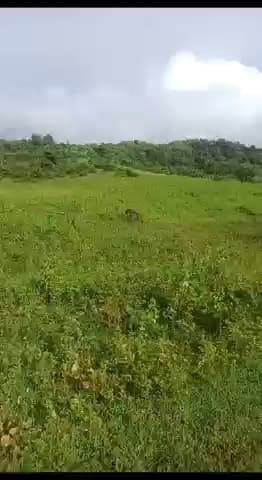 1 Bhk For Sale In Hai Tower Dulhin Bazar