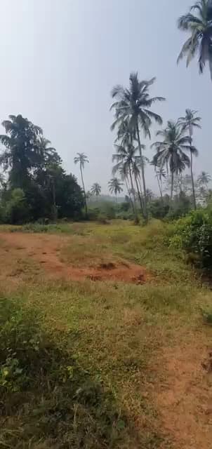 Plot For Buy In Bangalore