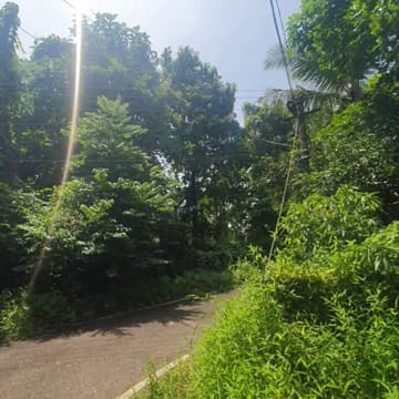 Plot For Buy In Assam