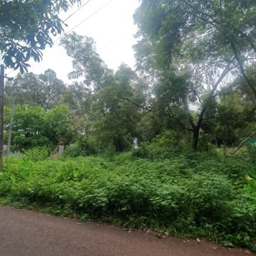 Buy Sale Plot In Delhi