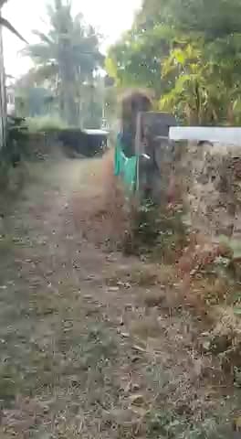 Buy Sale Plot In Dehradun