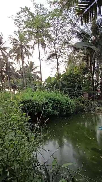 Plot For Buy In Bangalore