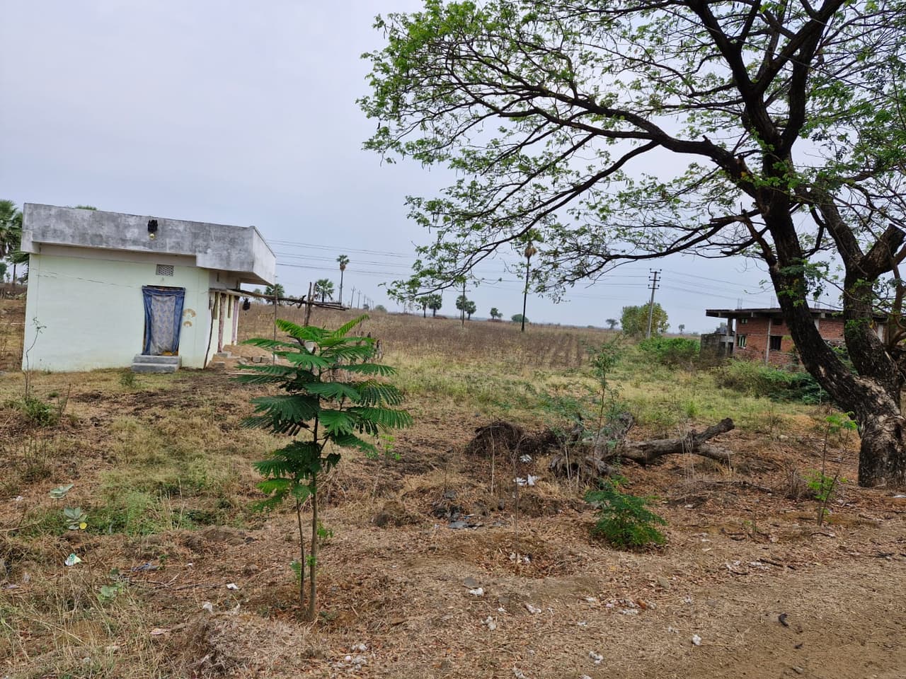 Image of land in telangana