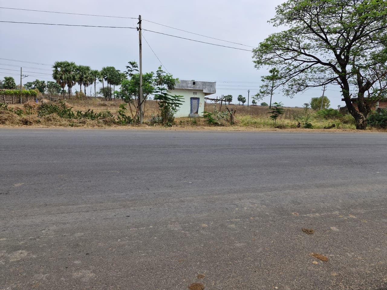 Image of land in telangana
