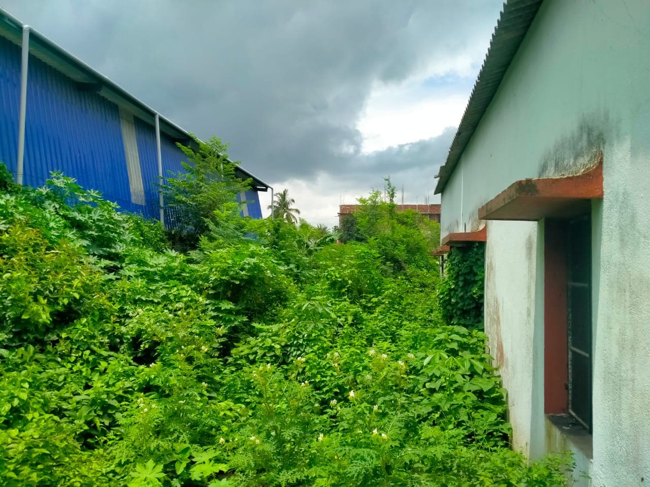 Plots For Rent In Chinsurah Chinsurah Magra