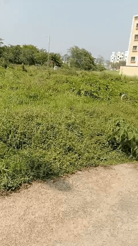 Plots For Rent In Baji Sukdebpur Mandirbazar
