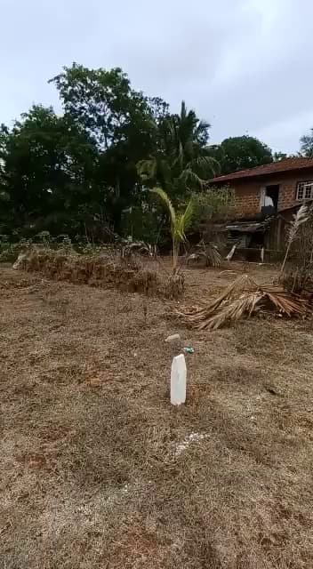 Plot For Sale In Bikaner