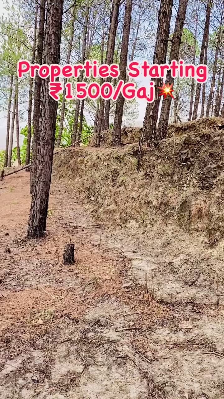 Plot For Buy In Assam