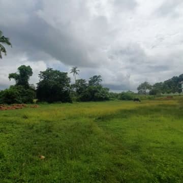 Plot For Buy In Bangalore