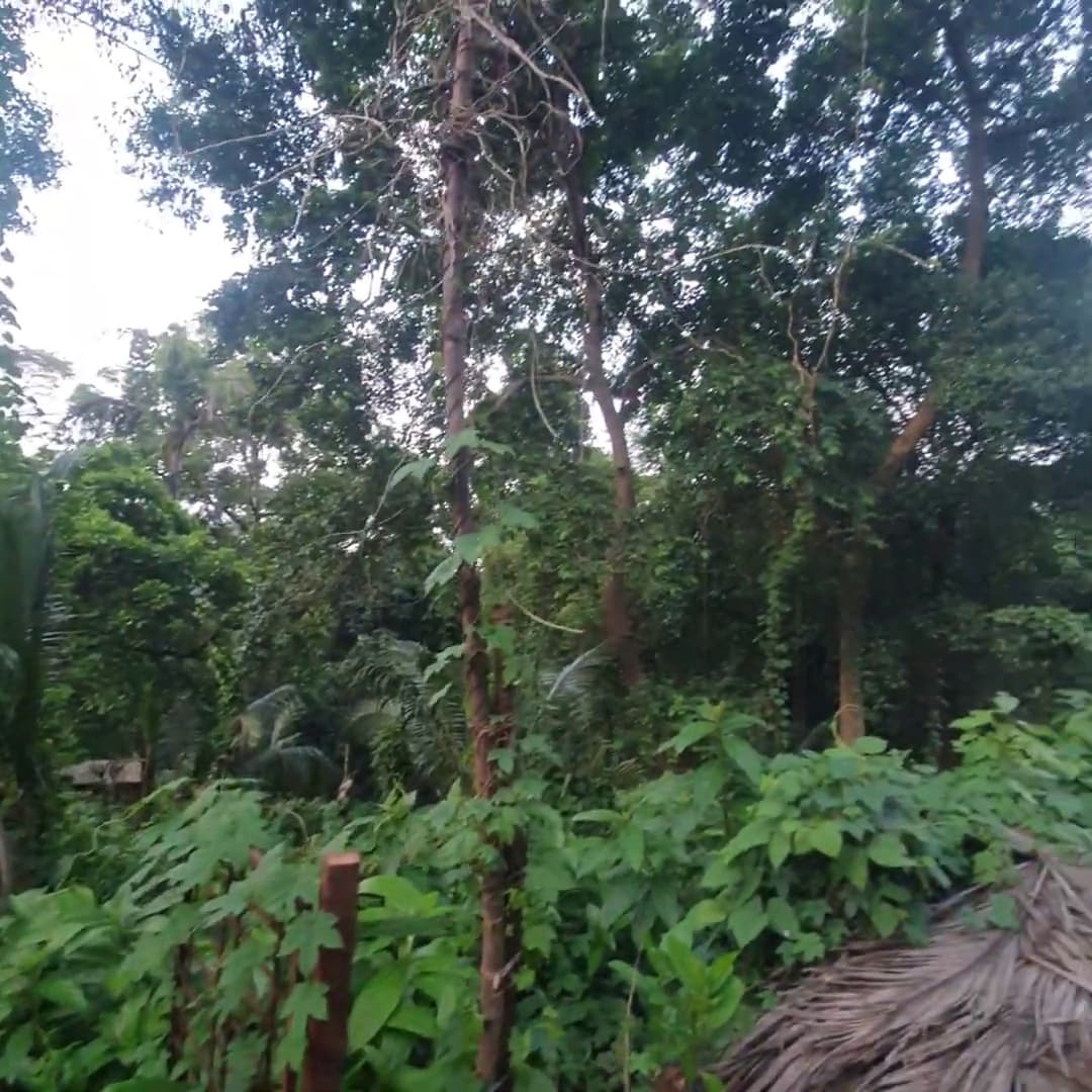 Image of Residential Plot in Chandigarh’s Top Area